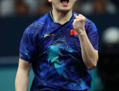 世俱杯改制-法国乒乓球队强势德国乒乓球队，樊振东惊艳世界的简单介绍