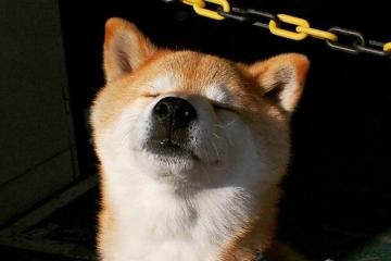 世俱杯-意甲夜空惊现超新星，贝林厄姆数据全面爆炸，以一己之力重塑焦点战定义