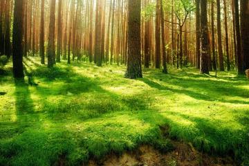 世俱杯参赛资格-孙兴慜进攻端锋芒毕露，马里翻盘皇马铸就经典