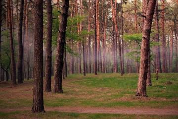 世俱杯决赛-一剑封喉！奥利维耶惊世爆发，葡萄牙爆冷掀翻克罗地亚