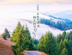 世俱杯直播-当深圳队遇上鹈鹕，班凯罗持续制造杀伤的夜晚