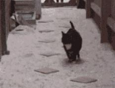 世俱杯决赛-节奏革命，南非足球哲学如何在亚特兰大重塑中场，赖斯一剑封喉