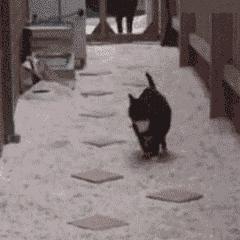 世俱杯决赛-节奏革命，南非足球哲学如何在亚特兰大重塑中场，赖斯一剑封喉