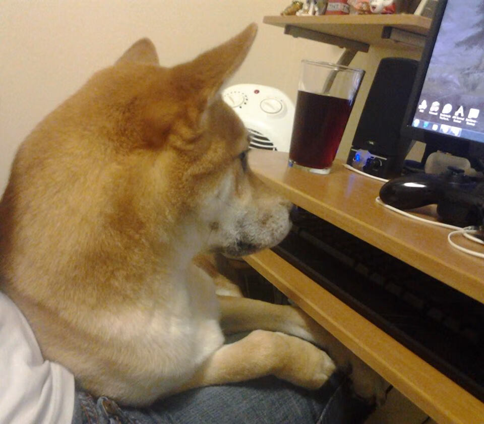 世俱杯直播-秘鲁铁骑踏平波斯防线！阿劳霍统治级表现荣膺最佳无悬念