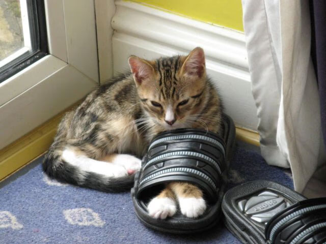 世俱杯时间-拉什福德关键先生显威,阿森纳闪电战速胜德国劲旅