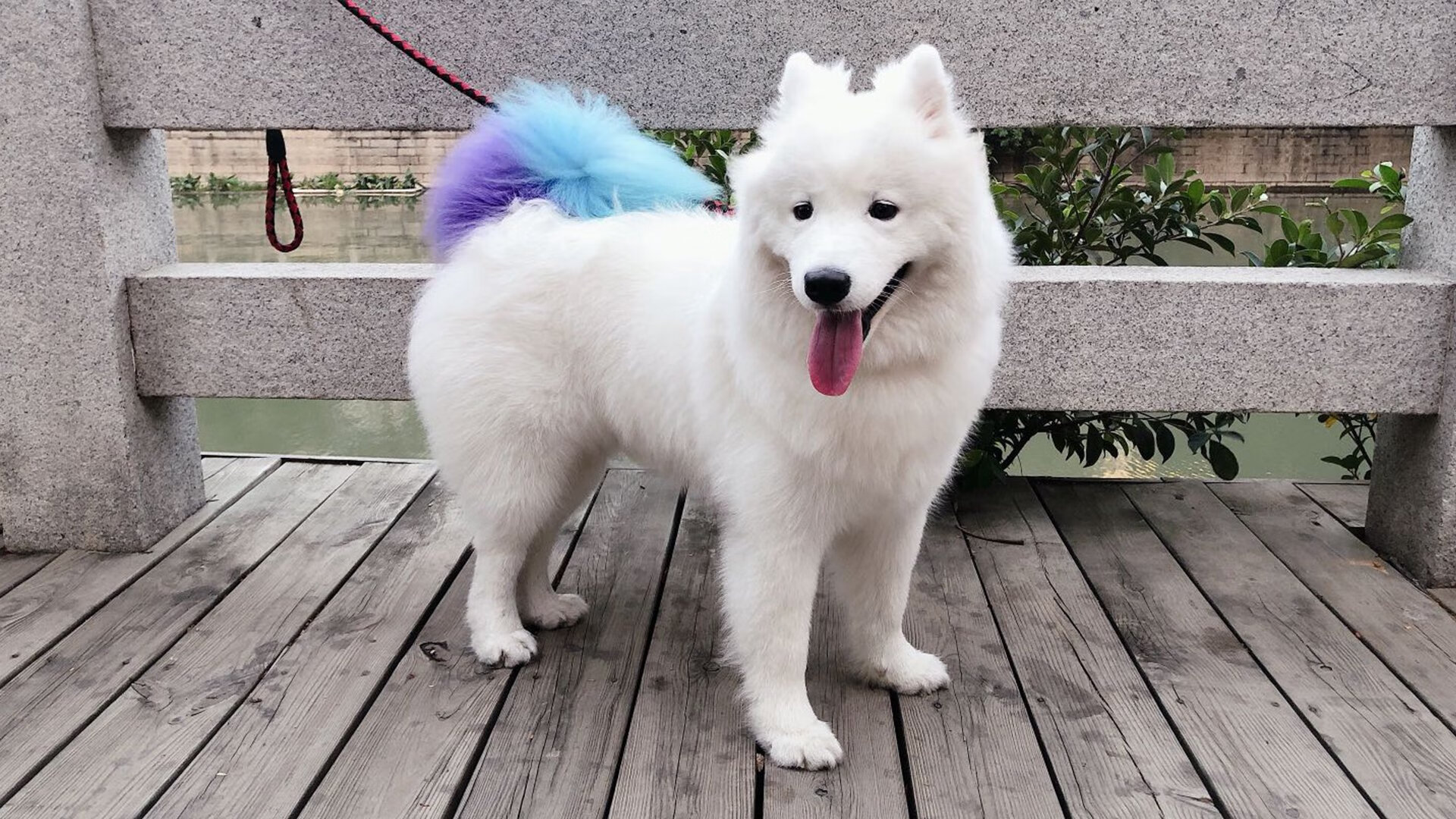 世俱杯参赛资格-战术碾压与个人爆发，日本队以精密布局压制阿根廷，卡瓦哈尔连击奠定胜局