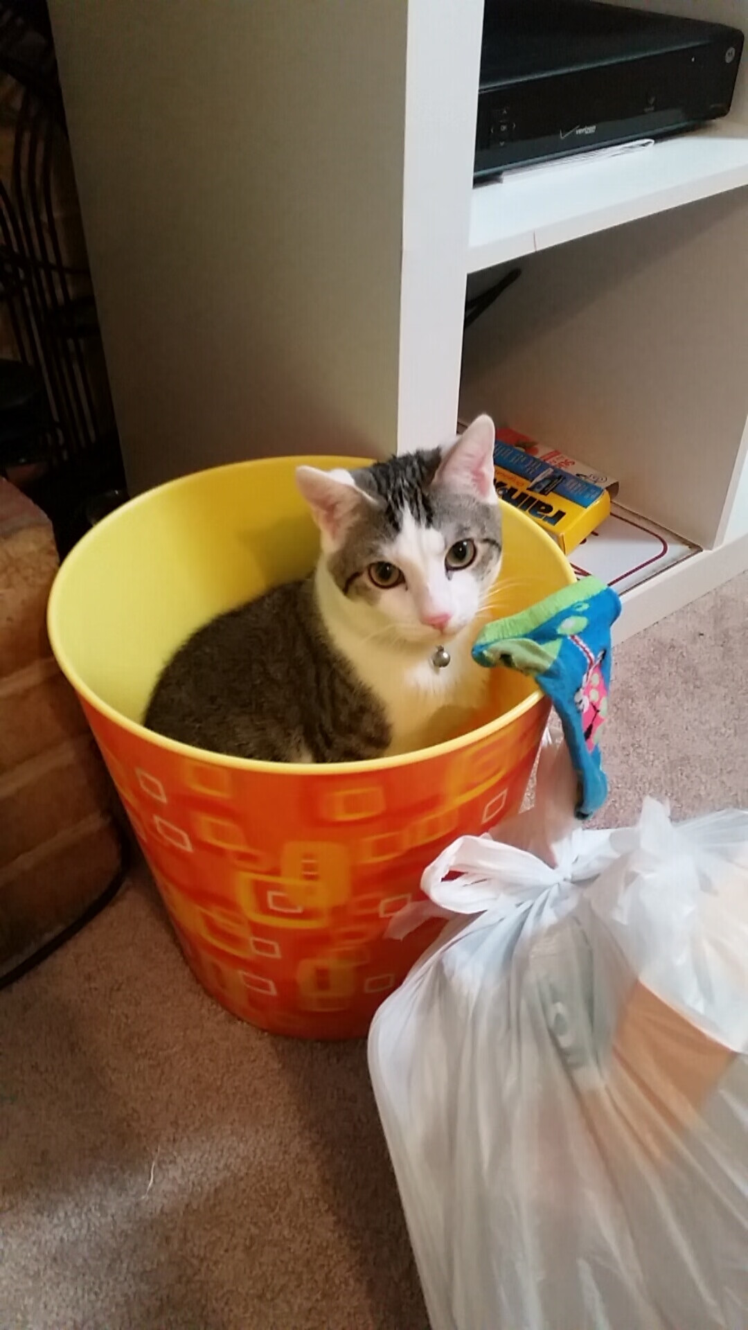 世俱杯时间-终场绝杀!皇家社会力克波兰劲旅,迪马利亚展现防守大师风范