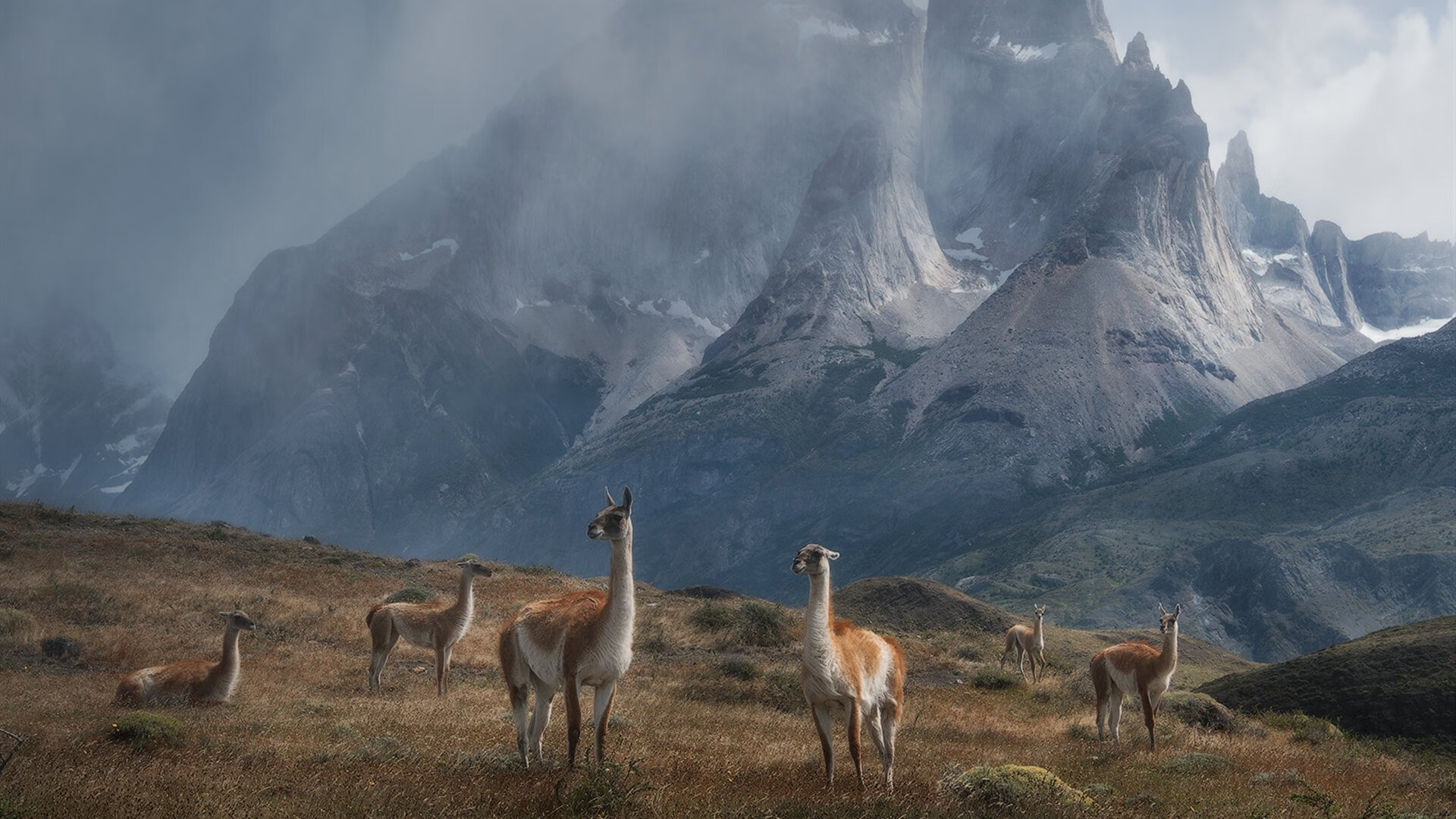 世俱杯分组-跨越疆界的领袖,从喀麦隆的绿茵铁血到阿拉巴的决胜之心